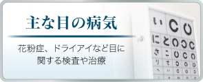 主な目の病気